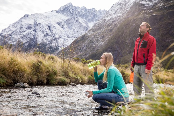 Monkey Creek, a picturesque stop on your premium Coach journey into Milford Sound. 